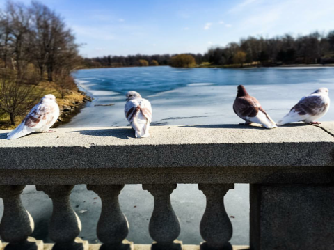 Delaware Park | Picture by @abecker121 on Instagram