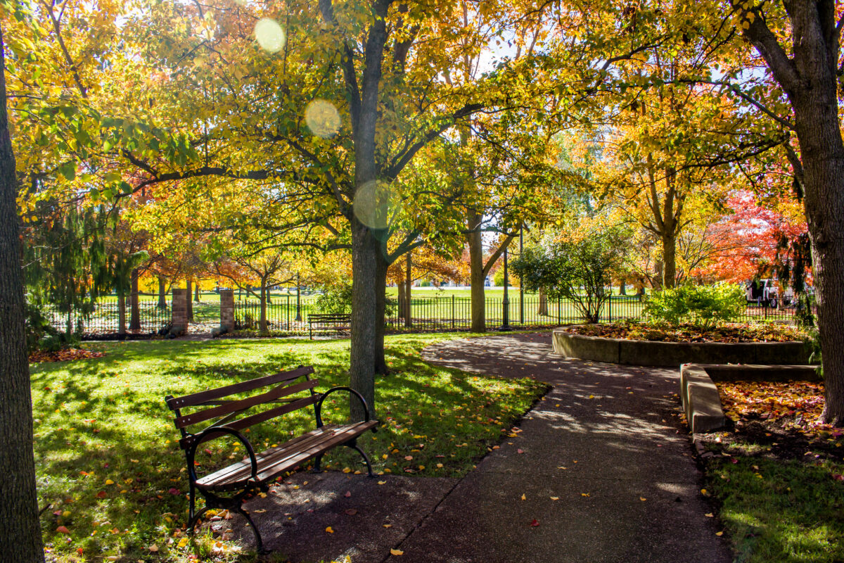 Photo of the John E. Brent Garden, featuring fall foliage in yellow colors and a bench