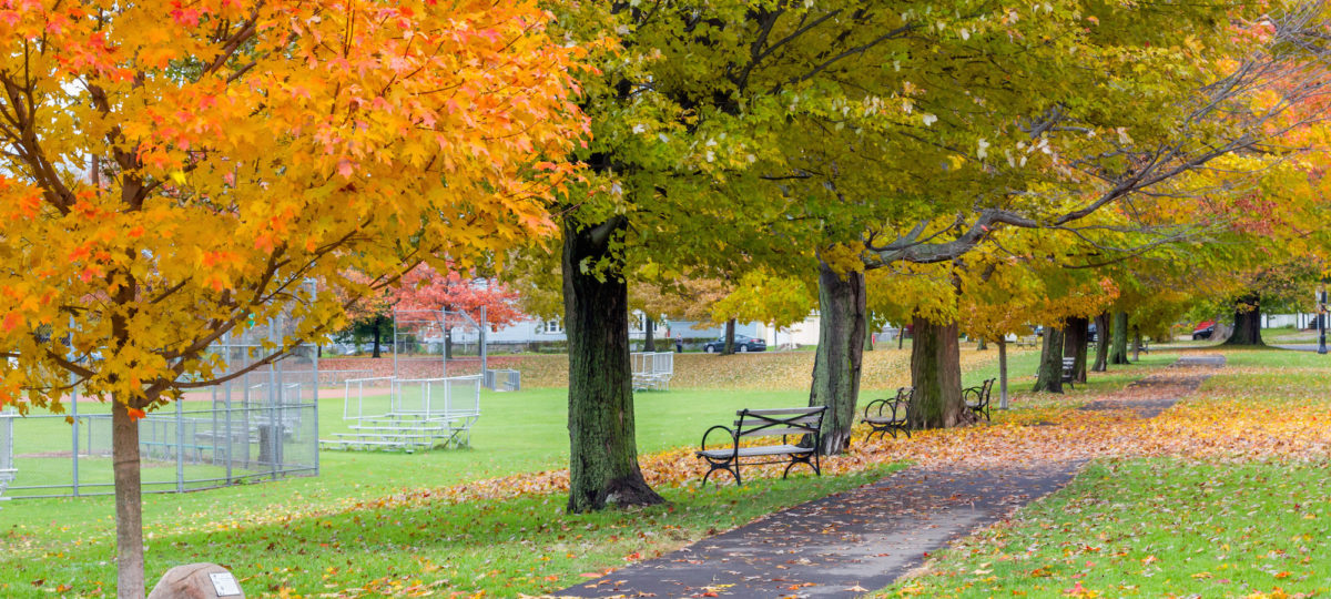 Cazenovia Park_Nov 2018_for Caz Park page