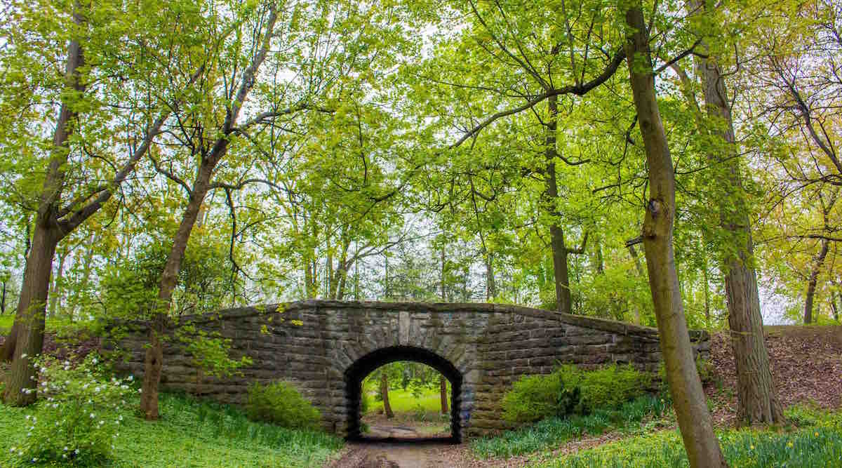 Delaware Park Ivy Bridge_Buffalo_3600x2000px