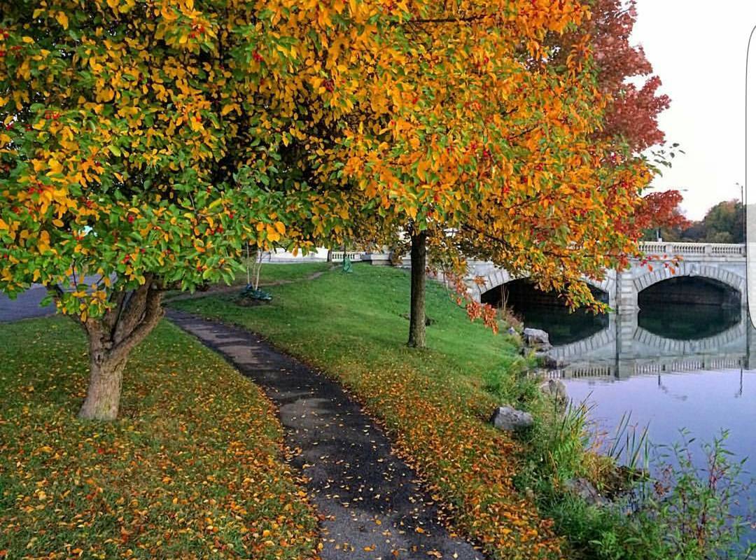 Delaware Park (Photo credit: Scott Balzer)