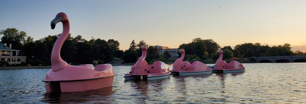 FLOATmingos on Hoyt Lake