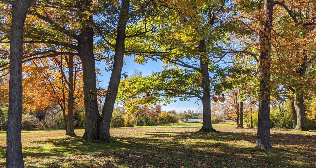 Fall at South Park