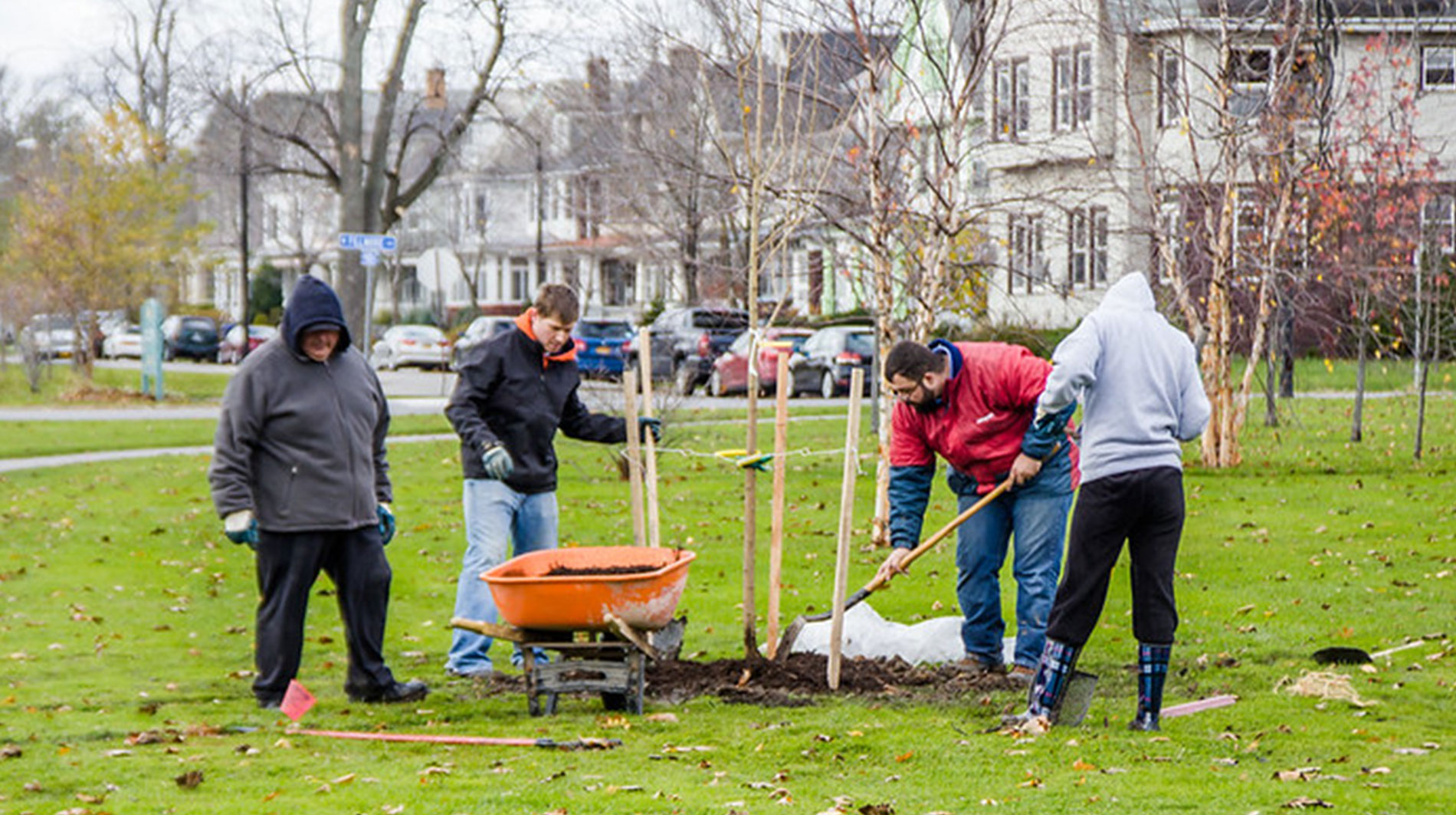 Volunteer tree planting event