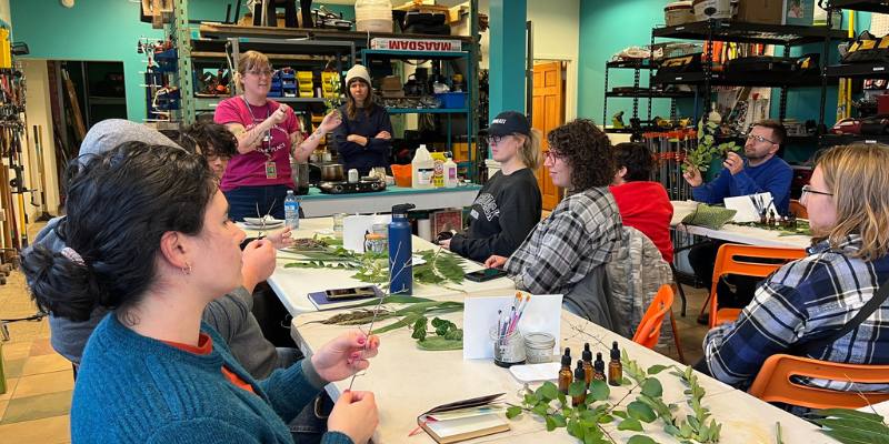 People sitting around the table with plants and art materials on the table