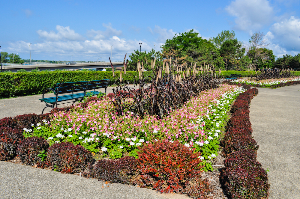 Front Park Terrace Garden