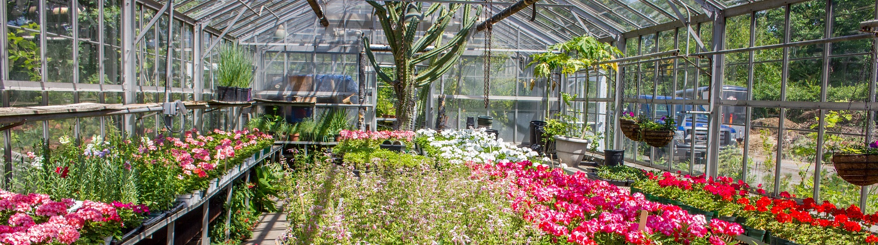 MLK Jr. Park Greenhouse
