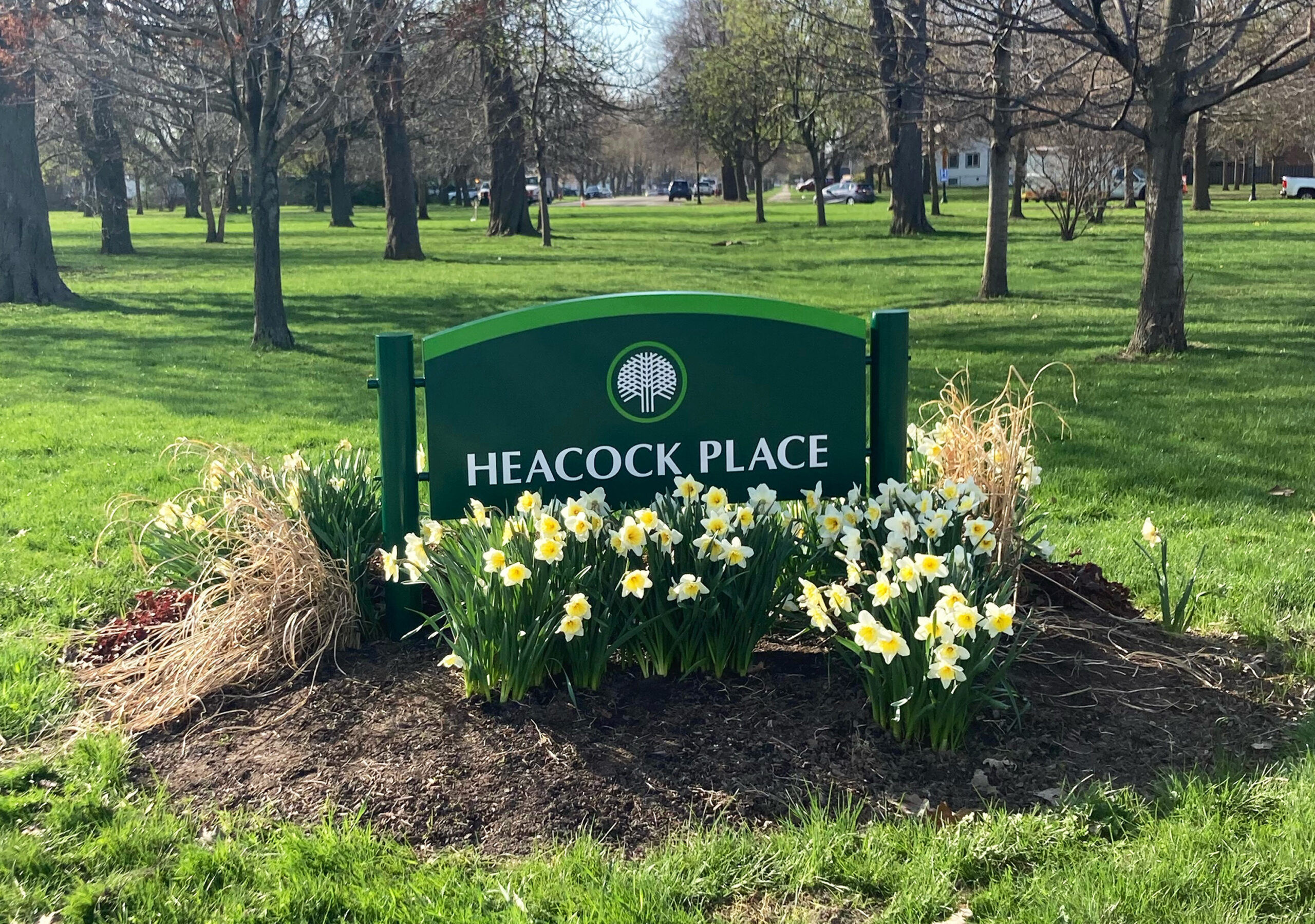 Heacock Place signage that reads Heacock Place, with Daffodils in the front of the sign