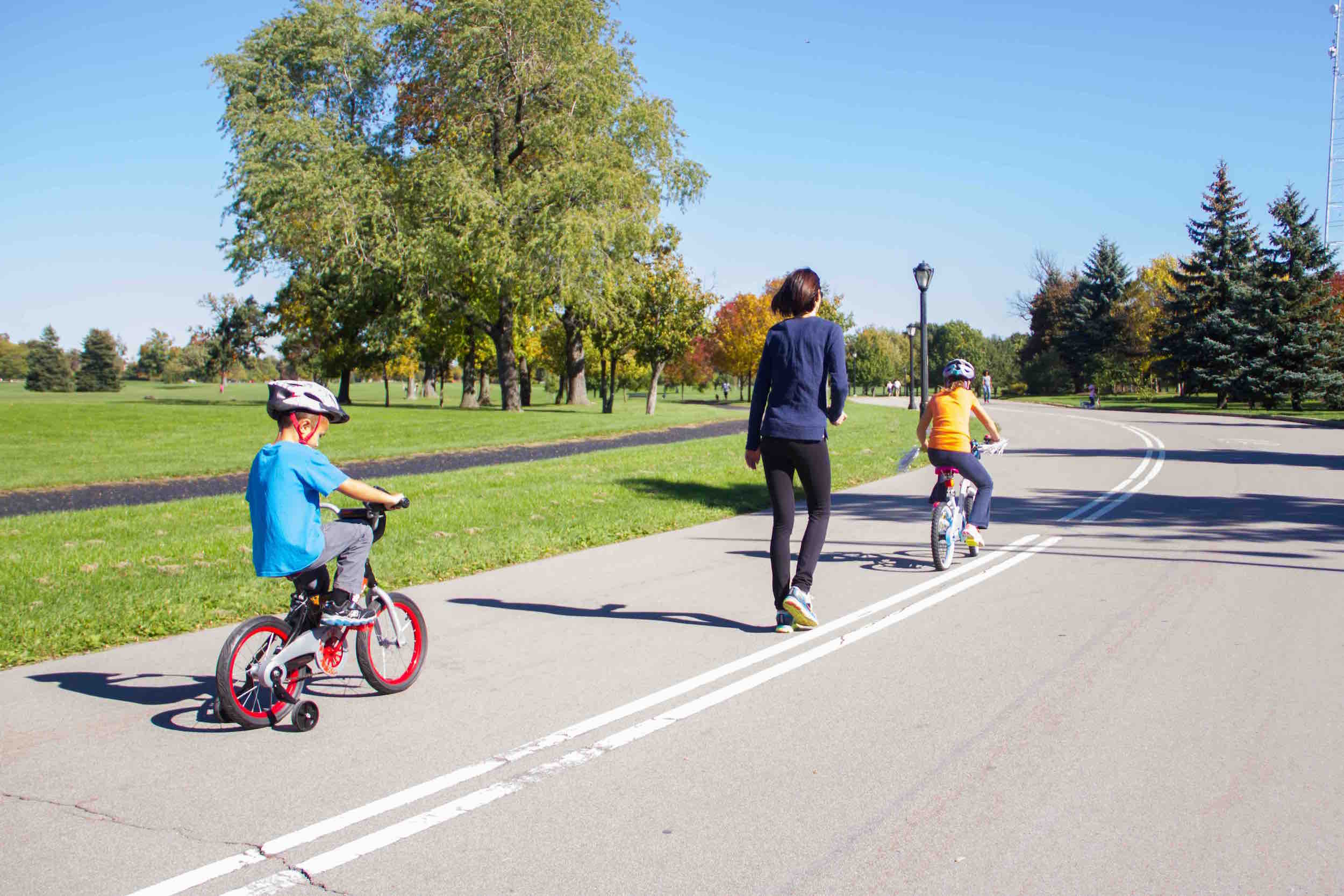 Delaware Park Ring Road