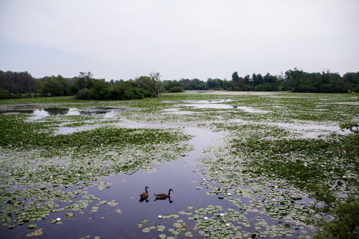 South Park Lake