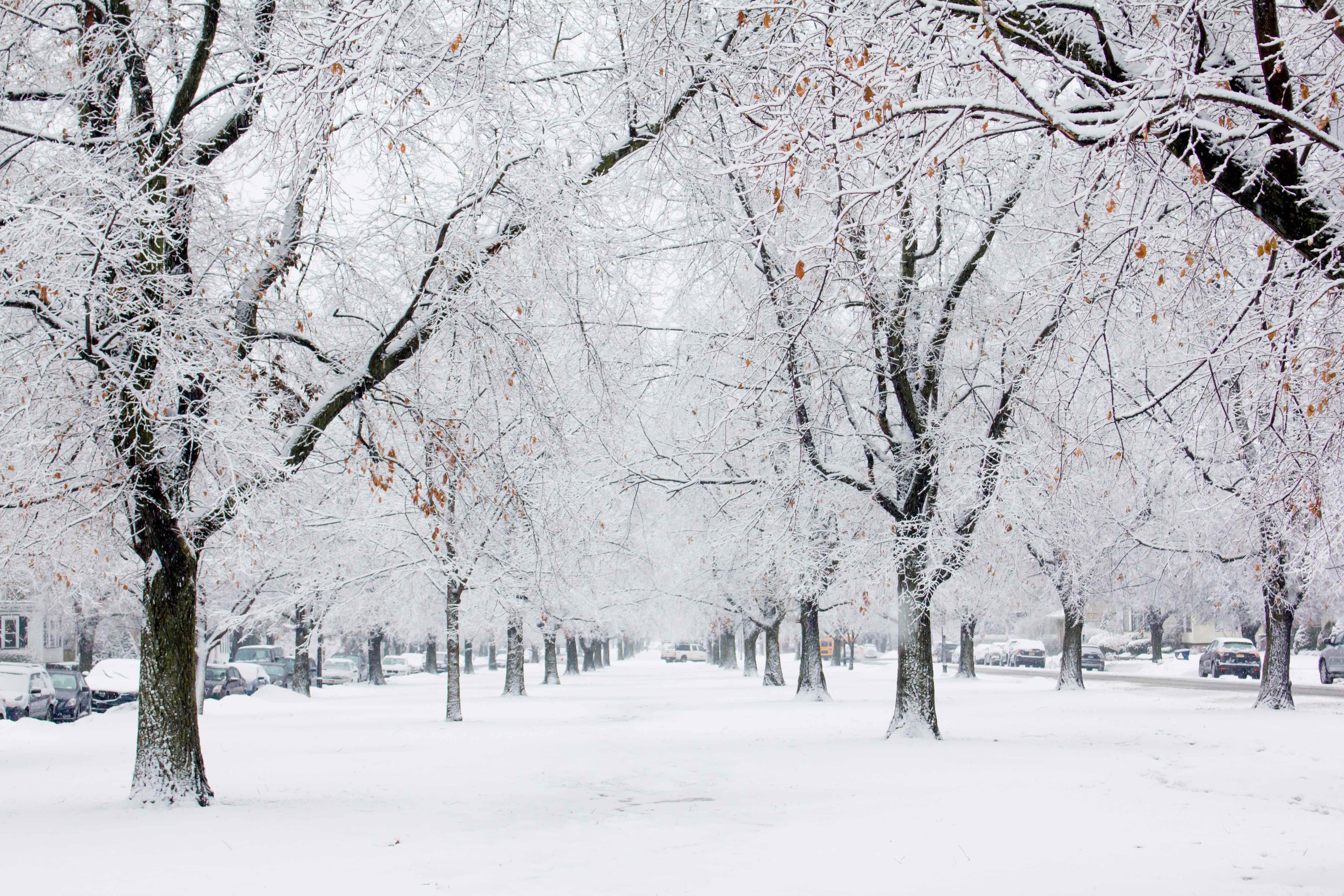 Bidwell Parkway Winter 2019