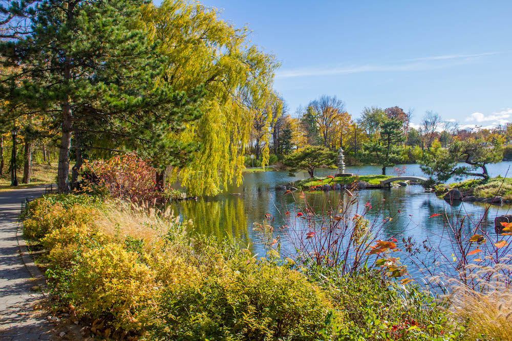 Japanese Garden