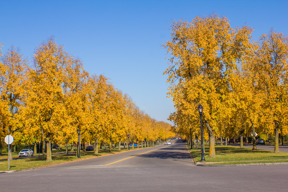 Lincoln Parkway