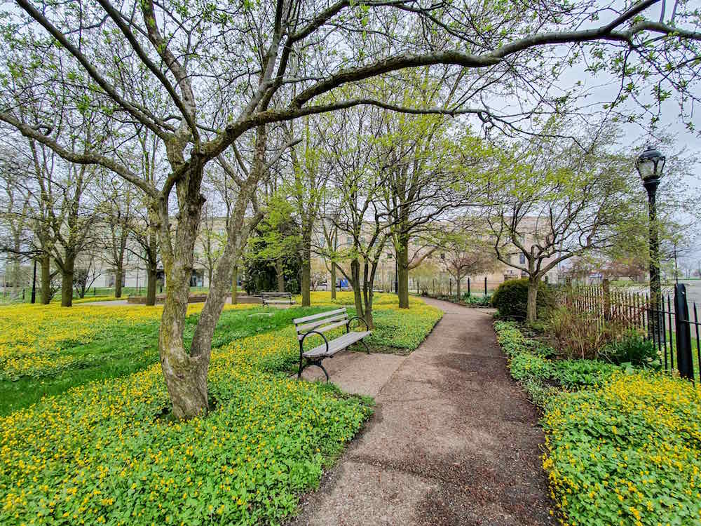 MLK Jr Park Cottage Garden