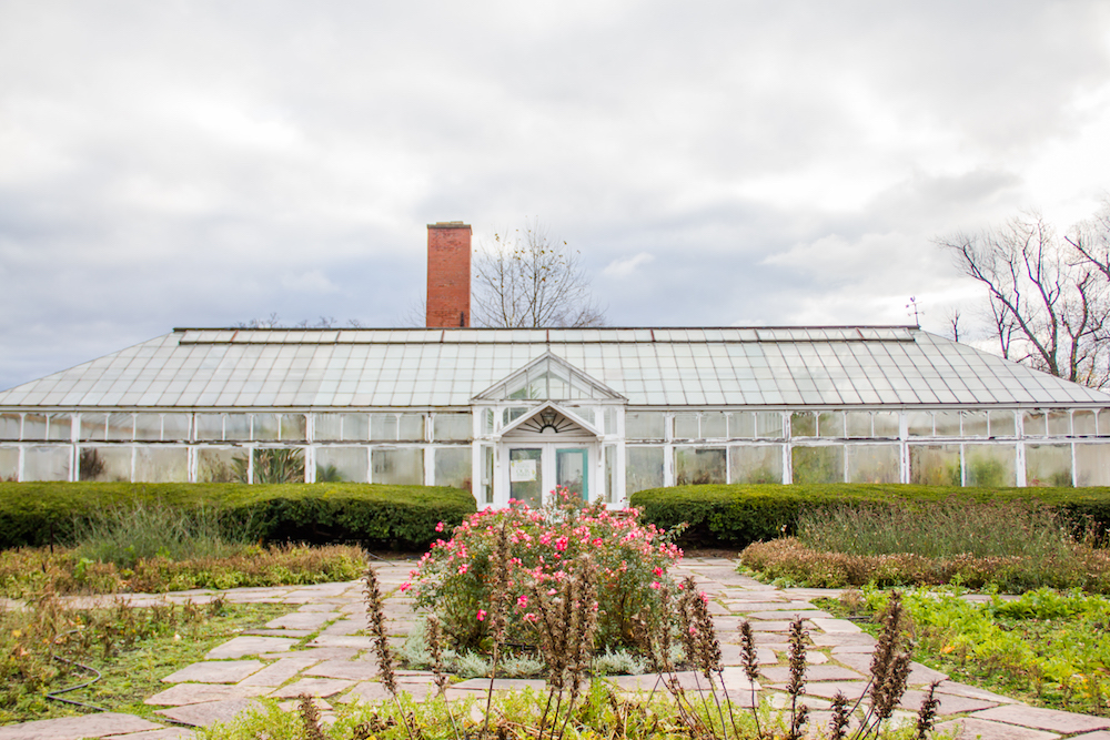 MLK Jr Park Greenhouse