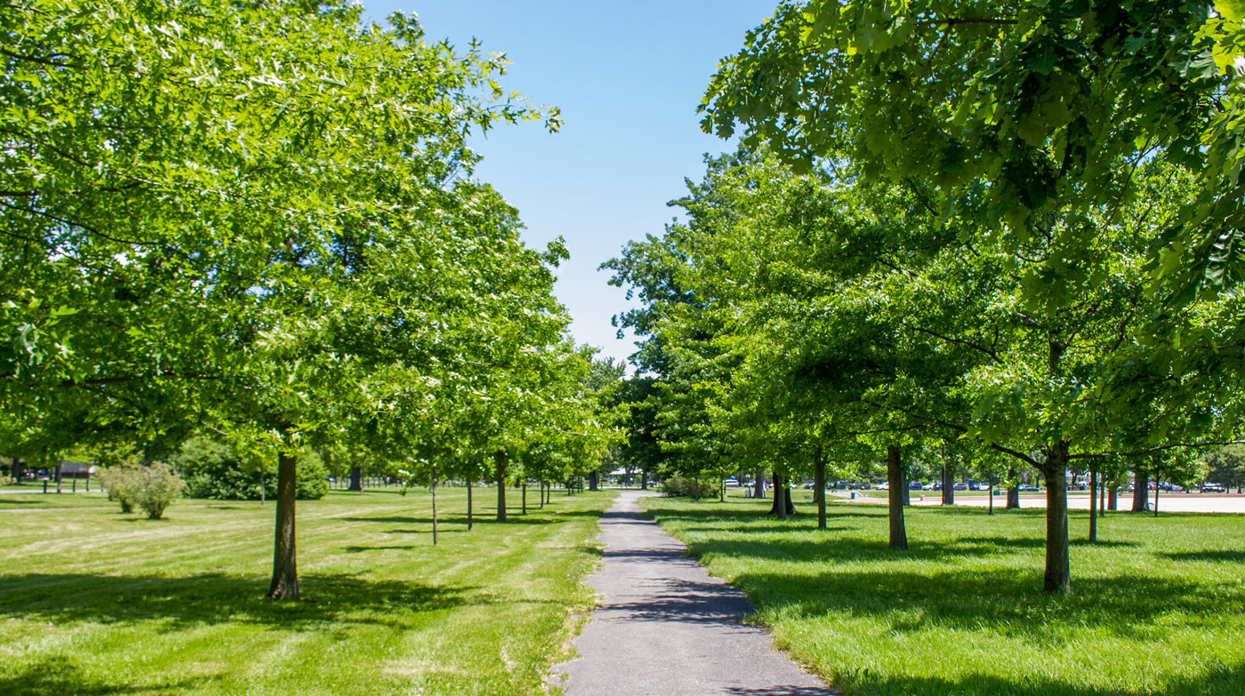 MLK Jr Park