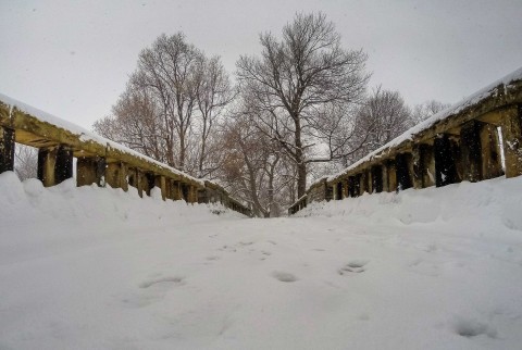 Location: Delaware Park (bridge) Photographer: Nicholas J. Robson (Instagram: @nrobson12)