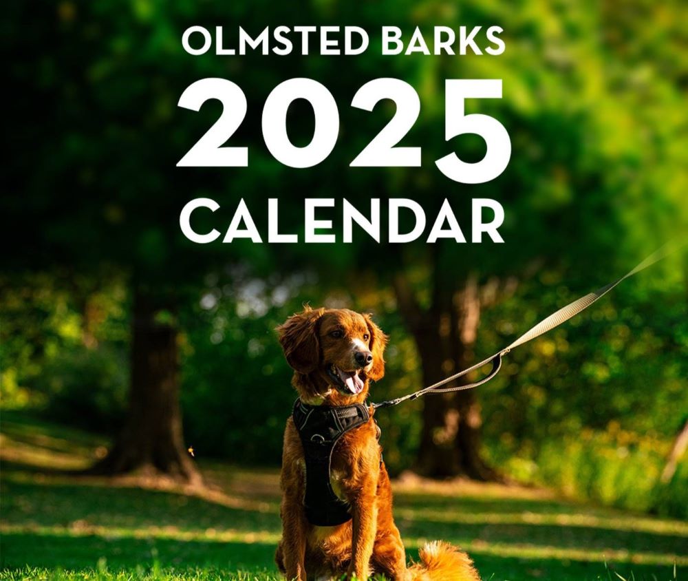 A golden retriever sits in the middle amidst greenery in a park. Text that reads Olmsted Barks 2025 Calendar overlay