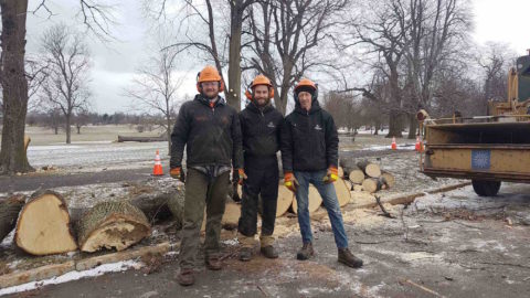Olmsted's Forestry team clearing debris at Delaware Park following the windstorm