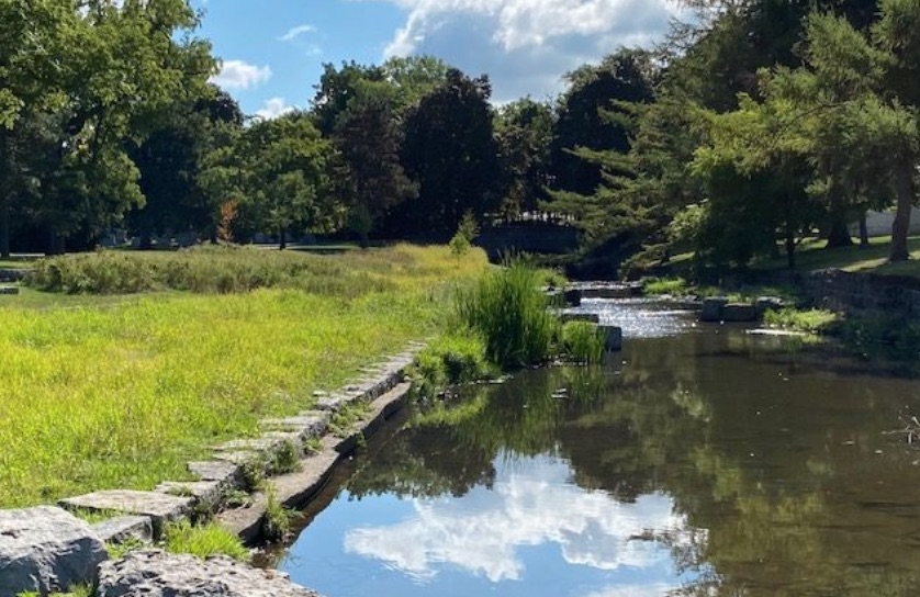 Scajaquada Creek