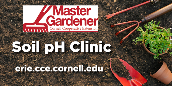 Soil pH Clinic