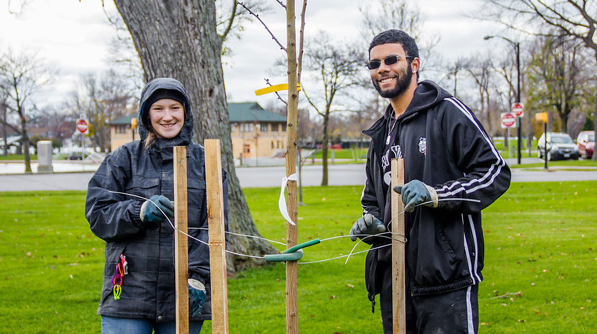 Volunteer tree planting event