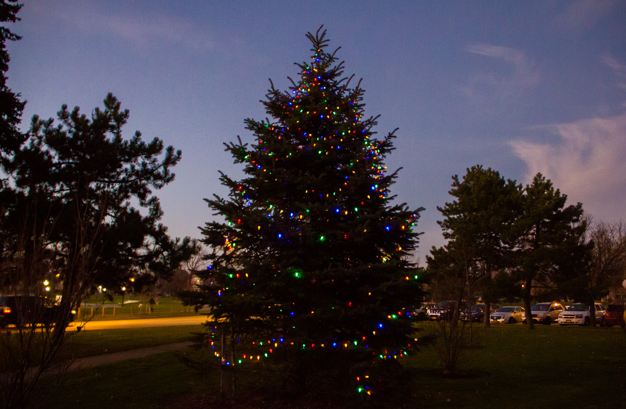 tree-lighting-at-mlk-2016