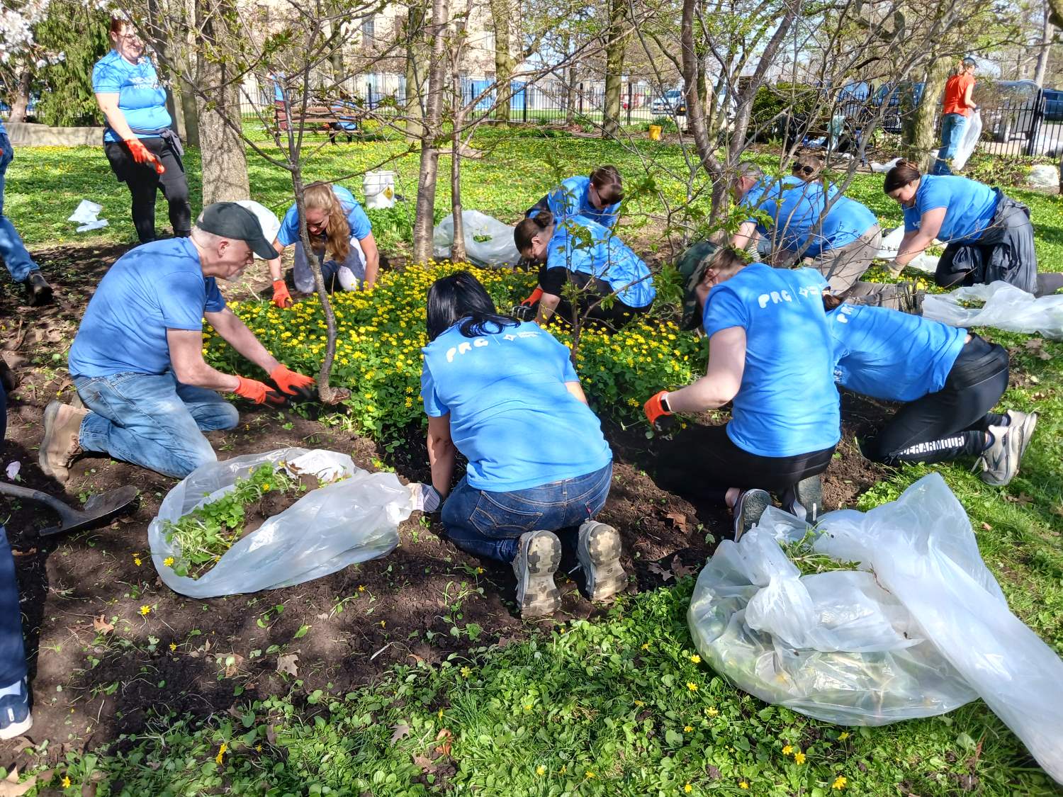 Volunteers cleaning up a flowerbed