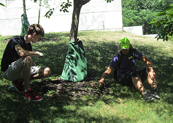 wegmans-employee-japanese-garden-in-delaware-park_june-21_2