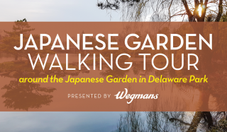 Wegmans Walking Tour_June 26 2017 Wegmans Walking Tour_June 26 2017